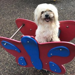 Coan Park - Fun for all at Coan Park.