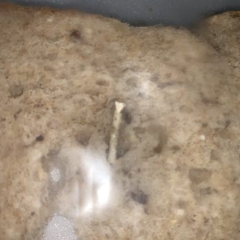 Costco - 2nd piece of Copper wire found in bread at Costco - Wholesale Stores Near Me - Duluth, Georgia