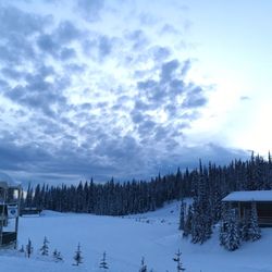 Sovereign Lake Nordic Centre - View of the centre/lodge on left.