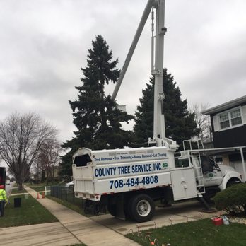 County Tree Service - Tree Services Near Me - Stickney, Illinois