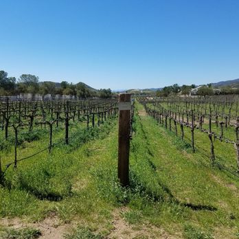 Agua Dulce Winery - Wineries Near Me - Agua Dulce, California Agua Dulce Winery - Wineries Near Me - Agua Dulce, California