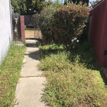 GGG Landscape - Side yard, before - Landscaping Near Me GGG Landscape - Side yard, before - Landscaping Near Me