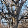 Prospect Park gift card