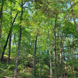 Barton Cove Campground & Paddlesport Center
