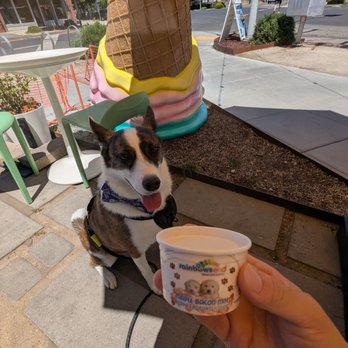 Licked - Pup cup - Ice Cream & Frozen Yogurt Near Me - Sacramento, California