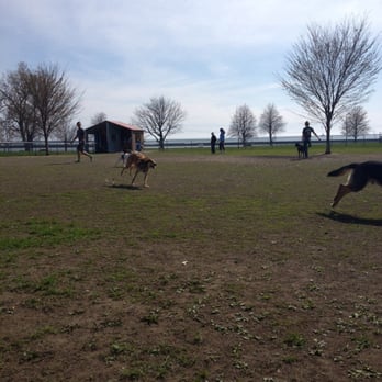 The Barkyard - Right on the water so there's a nice breeze - Dog Parks Near Me - Buffalo, New York The Barkyard - Right on the water so there's a nice breeze - Dog Parks Near Me - Buffalo, New York