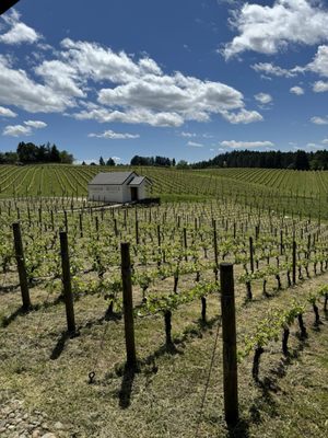 Trisaetum Winery by null