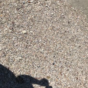 Pass-A-Grille Beach - Shells everywhere. Ouch! - Beaches Near Me - Saint Pete Beach, Florida