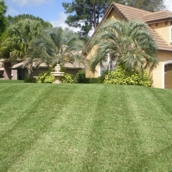 Greenburst - a house in a residential neighborhood - Lawn Services Near Me - Windermere, Florida Greenburst - a house in a residential neighborhood - Lawn Services Near Me - Windermere, Florida
