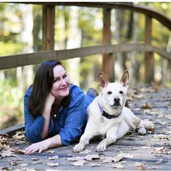 Jennifer Ilene Photography - RickyBobby the Dingo