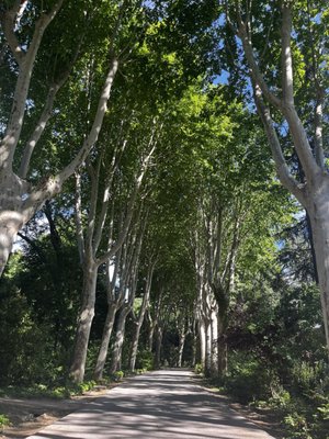 Campo del Moro by null