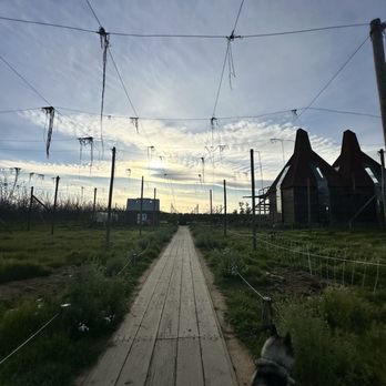 Ruhstaller Farm - My dog loves watching the livestock, but only good doggies allowed!!! - Breweries Near Me - Dixon, California Ruhstaller Farm - My dog loves watching the livestock, but only good doggies allowed!!! - Breweries Near Me - Dixon, California