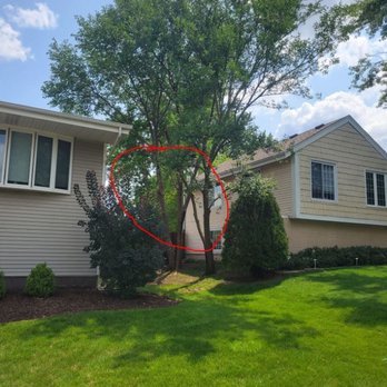 Ackerman Tree Specialists - Tree Services Near Me