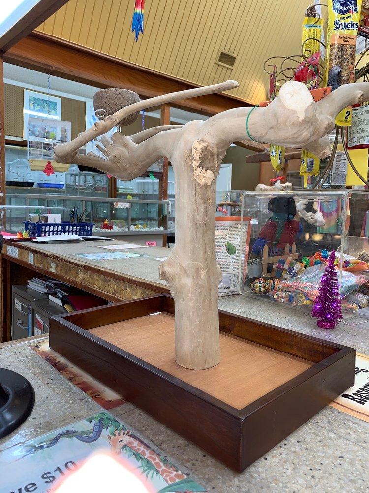 KOOKABURRA BIRD SHOP 21 Photos & 36 Reviews Pet Sitting 1845 E