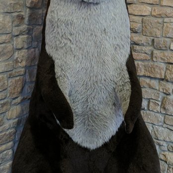 Clifty Inn - The animals are fluffy, big, and nice here. - Hotels Near Me - Madison, Indiana