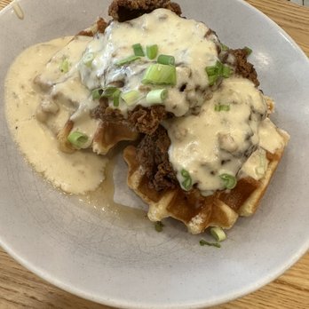 Boca - Chicken and waffles - Bars Near Me - Winter Park, Florida Boca - Chicken and waffles - Bars Near Me - Winter Park, Florida
