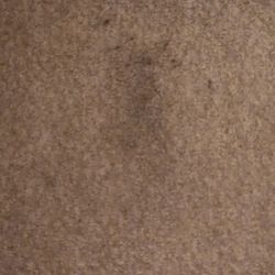 Oxi Fresh Carpet Cleaning