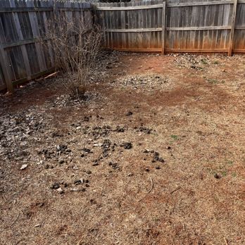 Super Scooper - Lawn when we arrived - Pet Waste Removal Near Me - Oklahoma City, Oklahoma