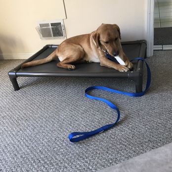 Krueger K9 - Pet Training Near Me