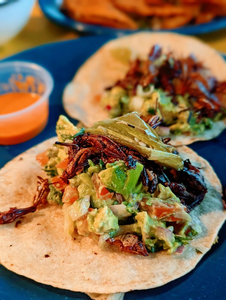 Food from La Cruderia