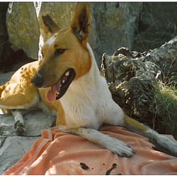 Camping des Grottes - Cest chaud.