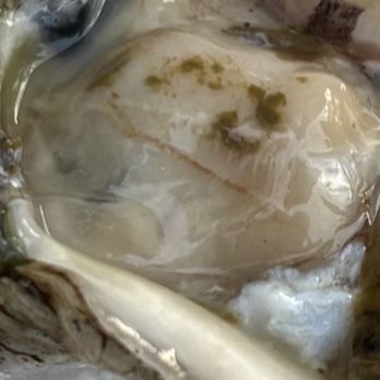 C. Ellet's - Crap your pants oyster - Steakhouses Near Me - Atlanta, Georgia