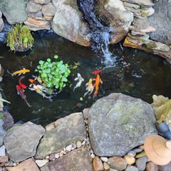 Fitz's Fish Ponds