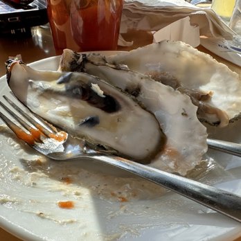 Surf Rider East Beach - Raw oysters mid scarf - Burgers Near Me - Norfolk, Virginia Surf Rider East Beach - Raw oysters mid scarf - Burgers Near Me - Norfolk, Virginia