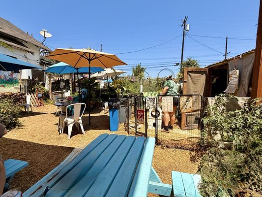 Fiorelli Pizza by null