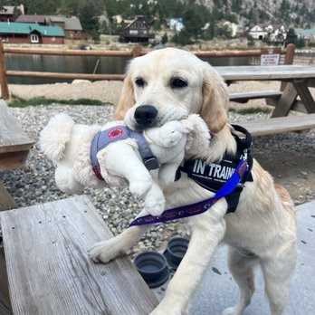 Cabin Creek Brewing - Aspen approved! - Breweries Near Me - Georgetown, Colorado Cabin Creek Brewing - Aspen approved! - Breweries Near Me - Georgetown, Colorado