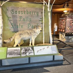 Gooseberry Falls State Park