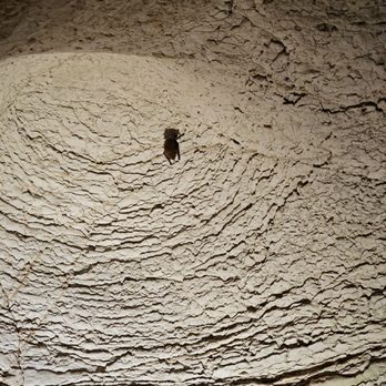 Longhorn Cavern State Park - Tours Near Me - Burnet, Texas Longhorn Cavern State Park - Tours Near Me - Burnet, Texas