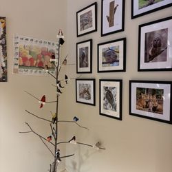 Walker Nature Center - Cute birds