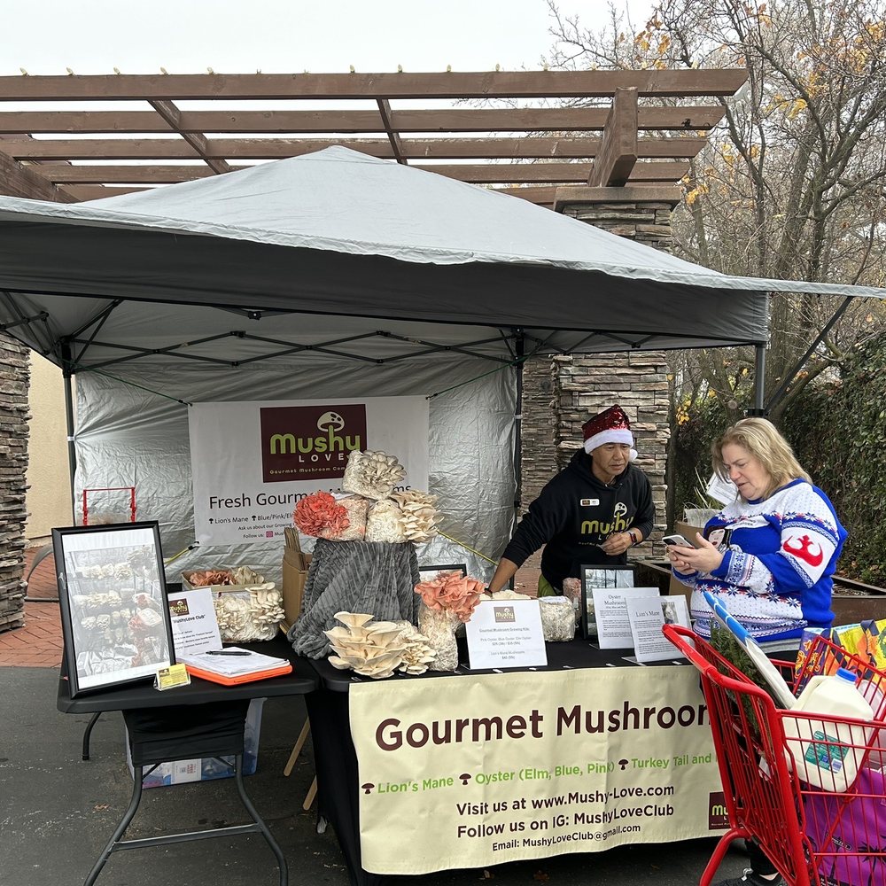MushyLove - Pop up set up - Specialty Schools Near Me - Citrus Heights, California