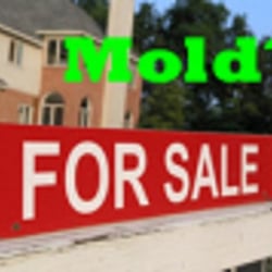 CGI Mold Testing & Inspections - Mold Testing & Inspection