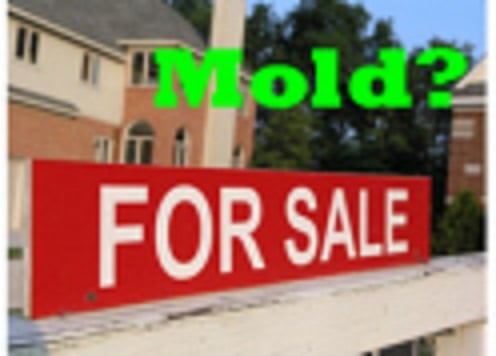 CGI Mold Testing & Inspections - mold inspector in Lakewood, CO