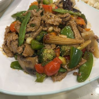 New Fortune 2 - Hunan Beef - Dim Sum Near Me - Austin, Texas New Fortune 2 - Hunan Beef - Dim Sum Near Me - Austin, Texas