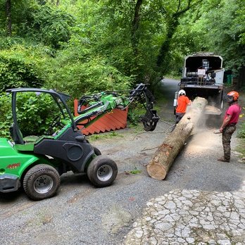 Appleseed Tree Service - Tree removal - Tree Services Near Me - Decatur, Georgia Appleseed Tree Service - Tree removal - Tree Services Near Me - Decatur, Georgia