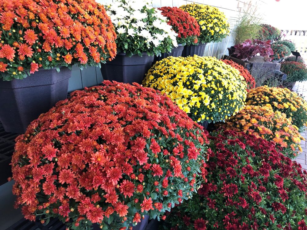 SWEET HILL FARM Updated October 2024 16 Photos 82 Newton Rd, Plaistow, New Hampshire