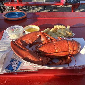 The Lobster Shack - Lobster Dinner - Seafood Near Me - Cape Elizabeth, Maine