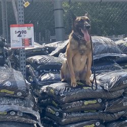 My Trails and Tails - Anyone need mulch?