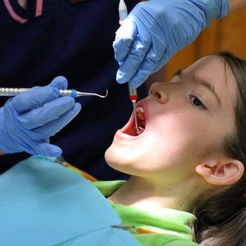 Hogan & Graceffo Dental Services - General Dentistry Near Me - Auburn, New York Hogan & Graceffo Dental Services - General Dentistry Near Me - Auburn, New York