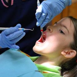 Hogan & Graceffo Dental Services