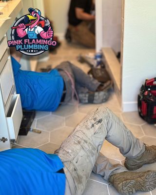 Pink Flamingo Plumbing by null