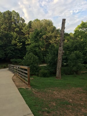 Medlock Park by null