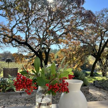 Medlock Ames - Bell Mountain Ranch - Wineries Near Me - Healdsburg, California