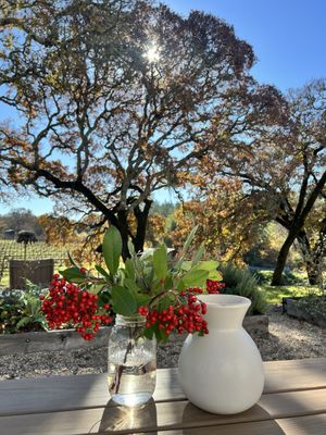 Medlock Ames Winery at Bell Mountain Ranch by null