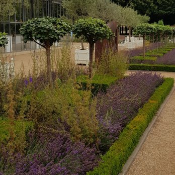 Hofgarten - Blumen - Parks Near Me