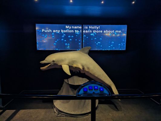 North Carolina Aquarium at Fort Fisher by null