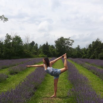 JFu Chiropractic - JFu Chiropractic in Dancer's Pose - Chiropractors Near Me - Toronto, Ontario